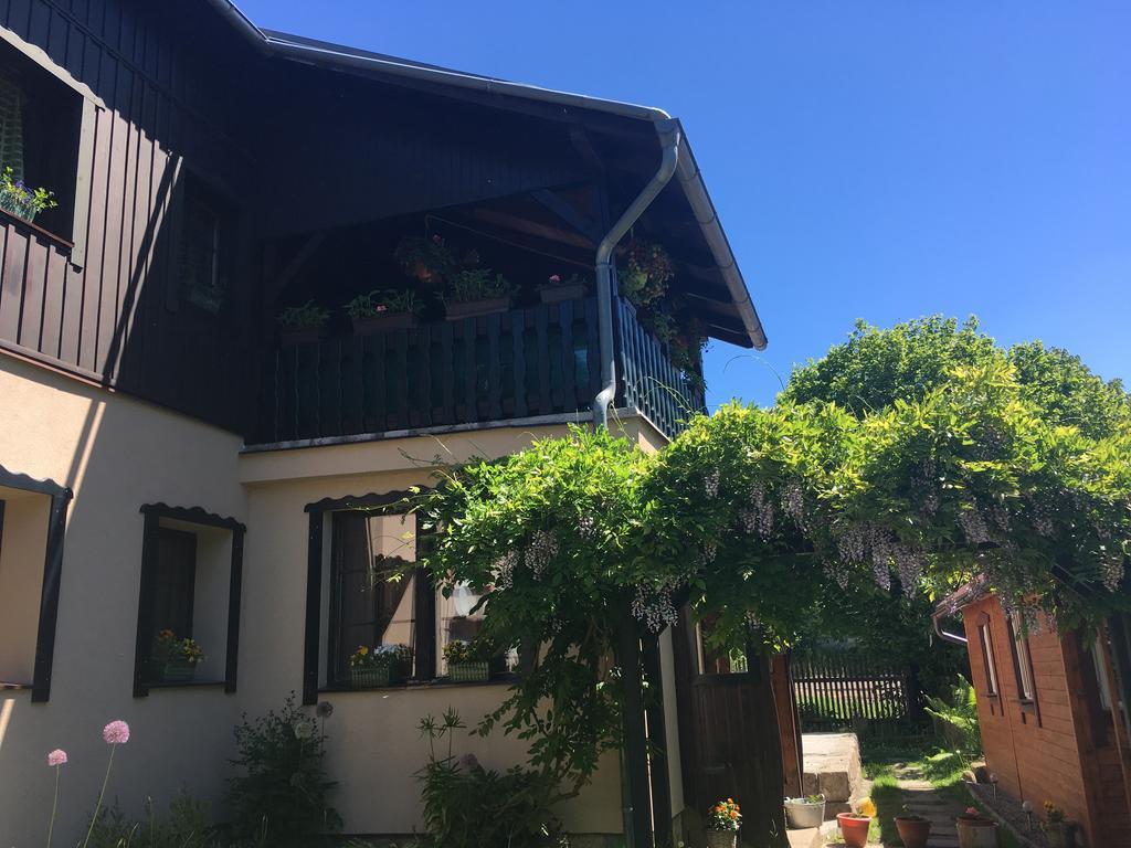 Penzion Pod Rozhlednou Janov Exterior foto