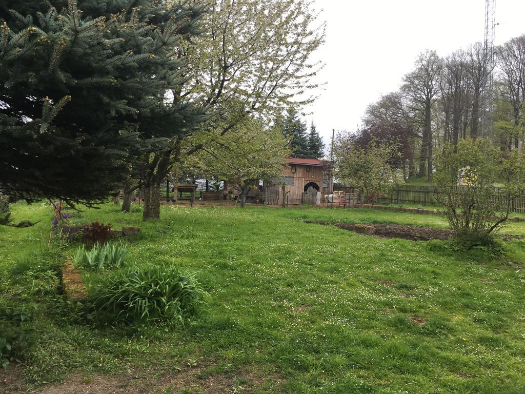 Penzion Pod Rozhlednou Janov Exterior foto